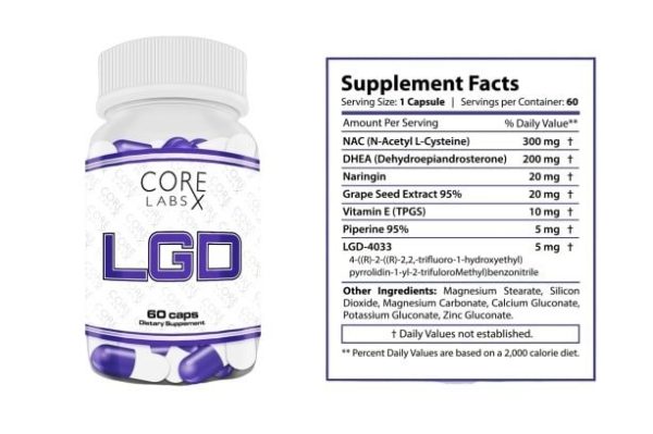 Core Labs LGD - Image 2