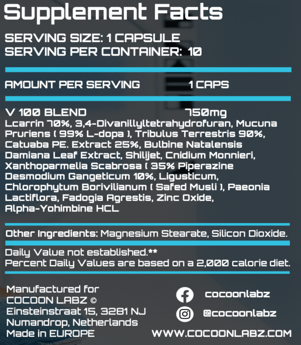 V 100 - Imagen 2
